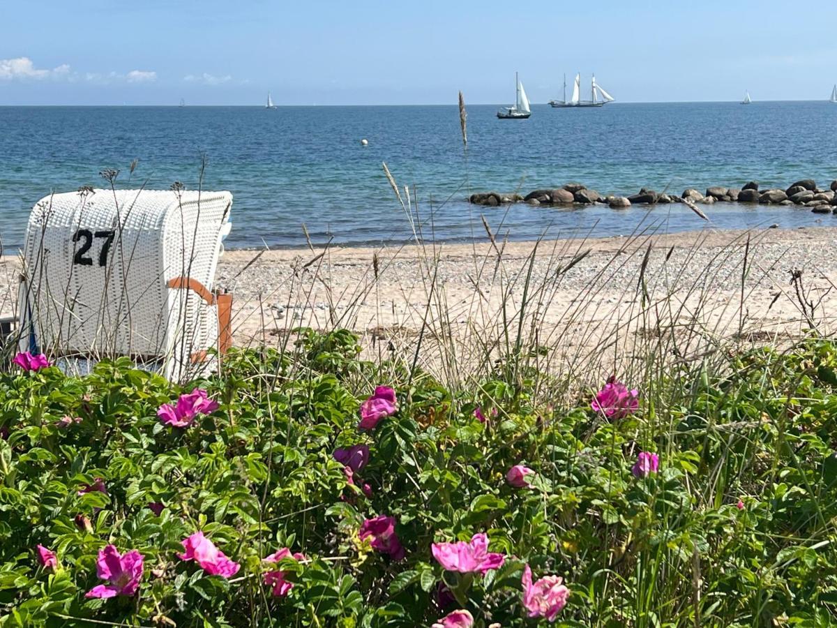 Seelund: Tranquil Garden Near Baltic Sea Schonhagen (Schleswig-Holstein)